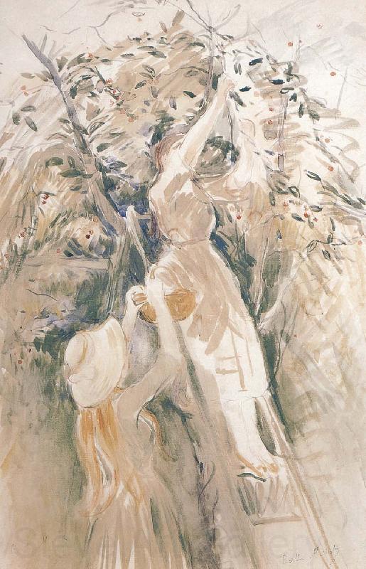 Berthe Morisot Study of Peach tree